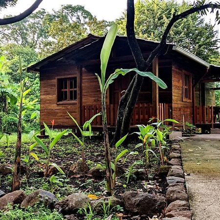 Wood Cabin - Cabana Maderas Бальге Экстерьер фото
